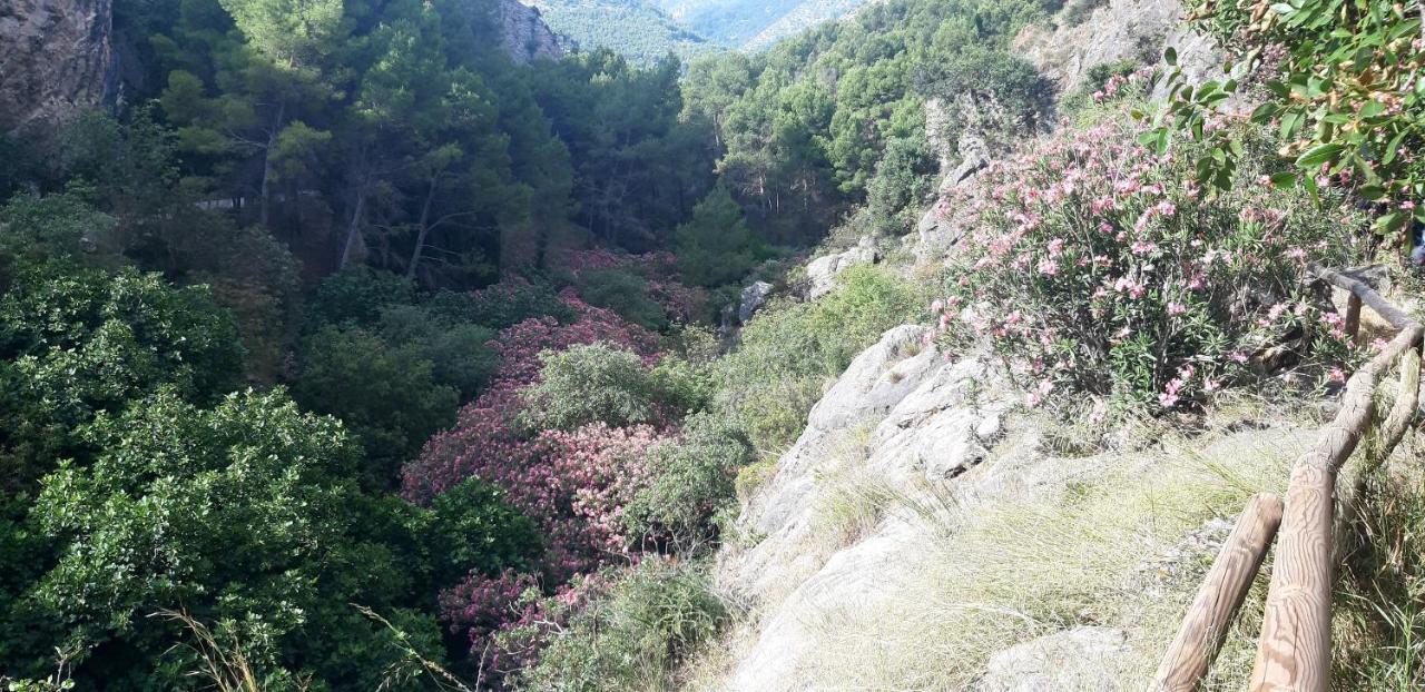 Hostal Rural De Cuadros Bedmar y Garciez Exteriör bild